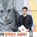 개포별빛동물병원 이미지