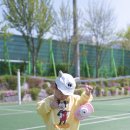 도원체육공원 농구장 이미지