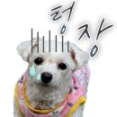 지에스25 역삼혜성점 이미지