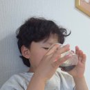 운주산 흑염소사슴농장 | 아이부터 부모님 건강식 선물 추천, 아산녹용 ::하남사슴목장 녹용진액 포장 후기 (전국배송)