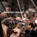 왕초보 바이올린 이미지