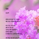 글 그림전 열꽃 / 김순애 이미지