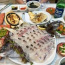 부산 자갈치 남포동 유명 노포 맛집 가성비 좋은 회 코스요리 양씨상회도매횟집 내돈내산 솔찍후기
