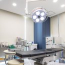 팽팽의원 이미지