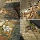 간석3동-26 이미지