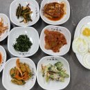 루트밸리