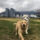 수영강변 공중화장실 이미지