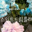 스위트드림플라워 이미지