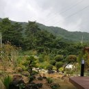 꽃뱅이정원 이미지