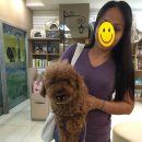 마로동물병원 이미지