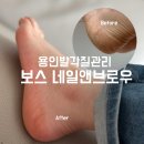 네일앤브로우