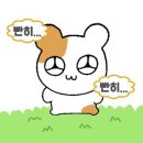 오늘은여기서 네이버블로그