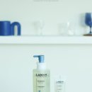 ㈜ 헬스앤뉴트리션 | 라보에이치 NEW 쿨링샴푸! 노세범 두피샴푸 5월 올영세일 올리브영 추천템