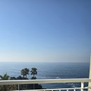 올레리조트 | 제주도 아이랑 여행 금호리조트 조식 후기 큰엉 올레5코스 산책
