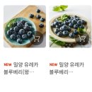 마켓올리