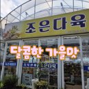 다육향기