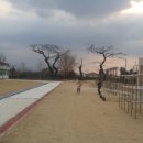 무릉초등학교병설유치원 이미지