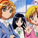 판교인생 이미지