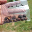 희정농장 이미지