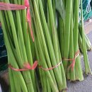 함평 미니 밤단호박 못난이&amp;곡성 토란대&amp;표고버섯&amp;여주!!! 이미지