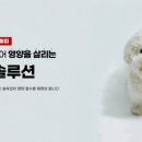 퍼피멍 이미지
