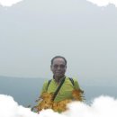 투어피아 이미지
