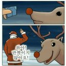 루돌프 - 광주시 | 루돌프