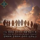 디모데 이미지