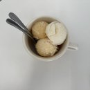 초록동행, 식물일기 | 제주 일도이동 / 제주 느좋 카페 ‘ 일기초록 ’