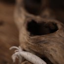 도속지낚시터 이미지