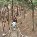 갈론사랑 이미지