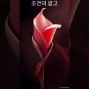 "대보름 둥근달 처럼" 이미지