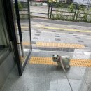 히어로동물병원 이미지