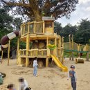 주전큰마을 | 부산 가까운 어린이 놀이터 울산 쇠평어린이공원 ( 주전 보밑항 피크닉장 근처 예요)