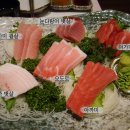 하참치 이미지