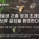 [공동성명서] ‘대발생 곤충 방제 조례안’ 보류 결정을 환영한다 이미지