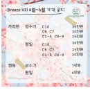 [청도 브리즈힐 캠핑앤카라반 후기] C3 카라반, 호텔처럼 편안한 글램핑!