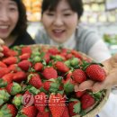 사천농협연합하나로마트 이미지