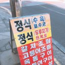 먹돌새기 이미지
