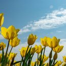 행복한푸르지오공인중개사사무소 이미지