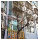 주안어린이집 이미지