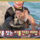 문어다리여덟개 이미지