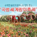 축제광장 화장실 이미지