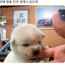 인 이미지