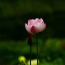 이브엔핀스튜디오 이미지