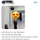 카엘댄스아카데미 이미지
