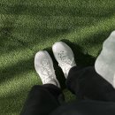 [테니스] 윌슨 신상 테니스화 볼트프로 🎾 테린이 착화후기