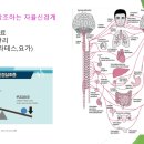 심신의학에서 강조하는 자율신경계 안정화 이미지