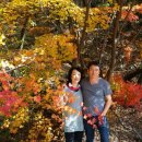 가을여행 이미지