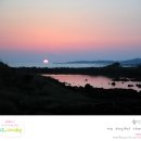 하모리-20 네이버블로그